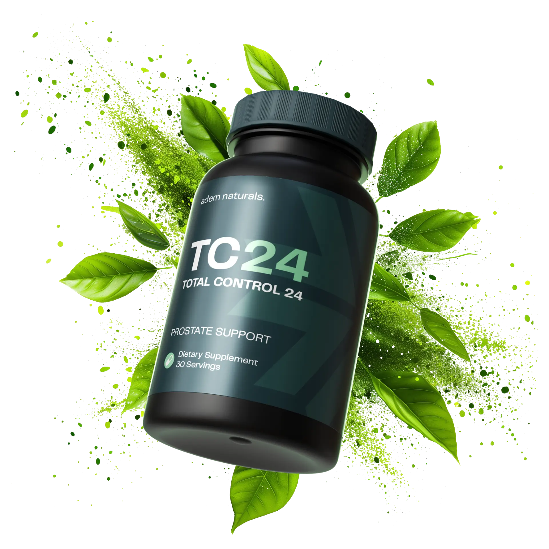 TC24 Total Control 24